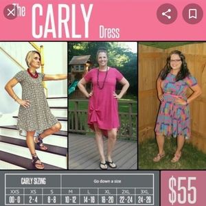 LulaRoe Carly dress